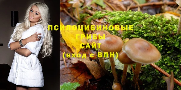 соль курить ск Балахна